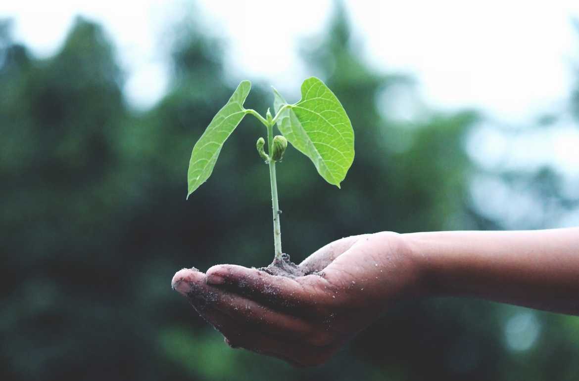 Grow Business Using Advocacy Marketing Grow Business Using Advocacy Marketing